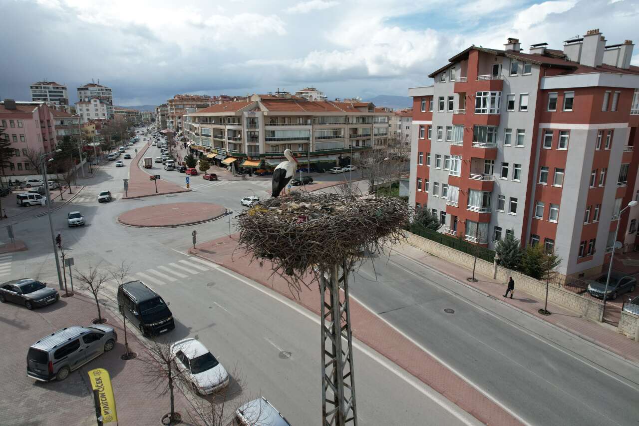 Konya’ya bahar geldi! Leylekler müjdeledi 1